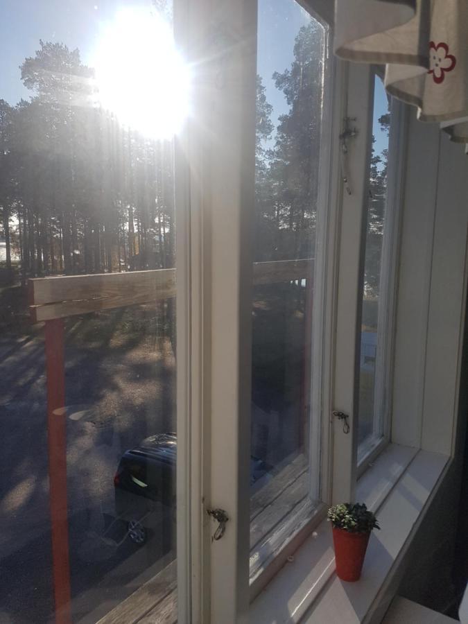 Furudals Vandrarhem Och Sjoecamping Extérieur photo
