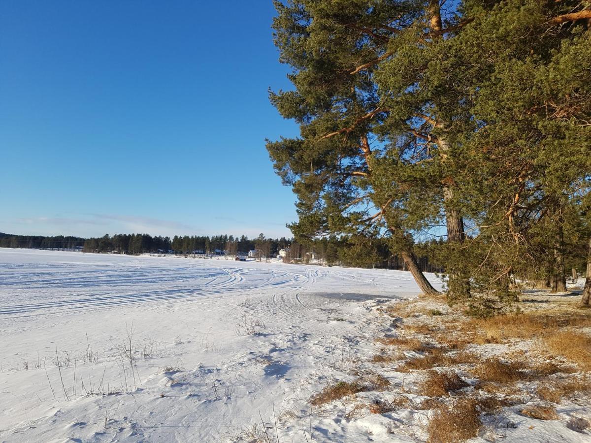 Furudals Vandrarhem Och Sjoecamping Extérieur photo